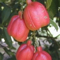 Profile Picture of Christopher Thorpe (@christopher-thorpe-16) on Quora