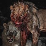 Profile Picture of ADAM (@__justise__) on Instagram