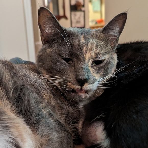 Profile Picture of Mikayla Stockton (@ohkayish) on Poshmark