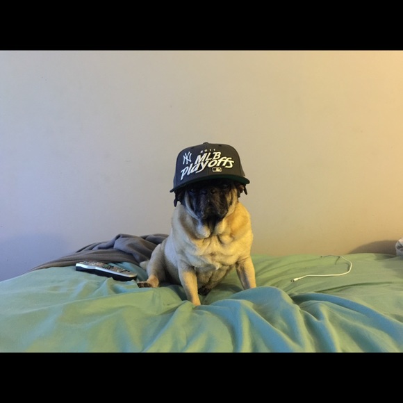 Profile Picture of Richard Calabro (@rjc112177) on Poshmark