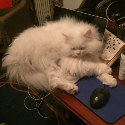 Profile Picture of Kevin Barker (@kwkbarker) on Twitter