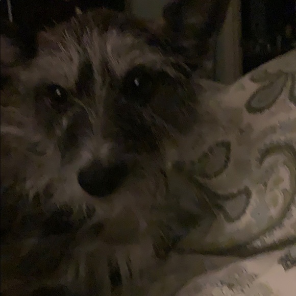 Profile Picture of Joseph Moehlmann (@jpm635) on Poshmark