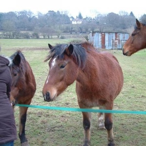 Profile Picture of Leanne Braddock (@444489120) on Myspace