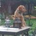 Profile Picture of Jim Wilberg (@jim.wilberg.1) on Facebook