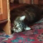 Profile Picture of Andrew Esterman (@andrew.esterman) on Instagram