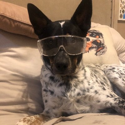 Profile Picture of Jacquelyn Cook (@Jackie_c_415) on Twitter