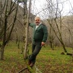 Profile Picture of A_Rahimi (@abdullahrahimi1351) on Instagram