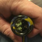 Profile Picture of Paul Cogdill (@juanie_hydroseed) on Instagram