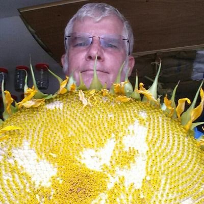 Profile Picture of Michael Mckinzie (@macm46222) on Twitter