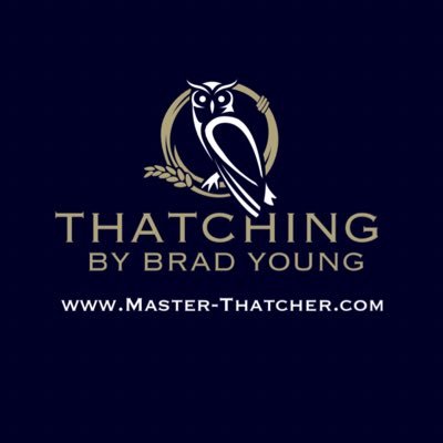 Profile Picture of 𝐓𝐡𝐚𝐭𝐜𝐡𝐢𝐧𝐠_𝐛𝐲_𝐁𝐫𝐚𝐝_𝐘𝐨𝐮𝐧𝐠 (@youngthatching) on Twitter