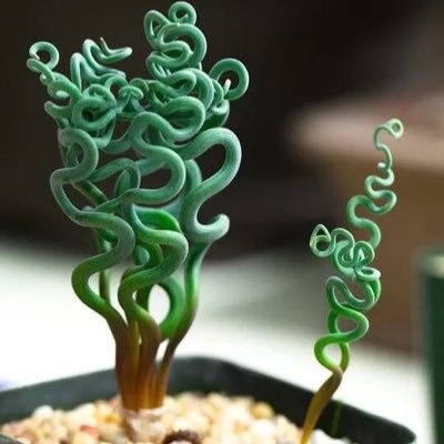 Profile Picture of L (@LukeParnell3) on Twitter