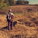 Profile Picture of Chad M Lieberman (@liebworks) on Instagram