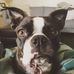 Profile Picture of Lori Gammon (@lori.gammon.90) on Facebook