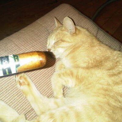 Profile Picture of Chris Farrington (@schmuckler82) on Twitter