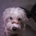 Profile Picture of Stephen Michaud (@stephen.michaud.5) on Facebook
