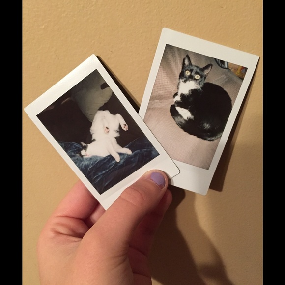 Profile Picture of Debra Endee (@debrtymar) on Poshmark