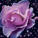 Profile Picture of Bernarda Cappello Berrios (@bernarda.c.berrios) on Facebook