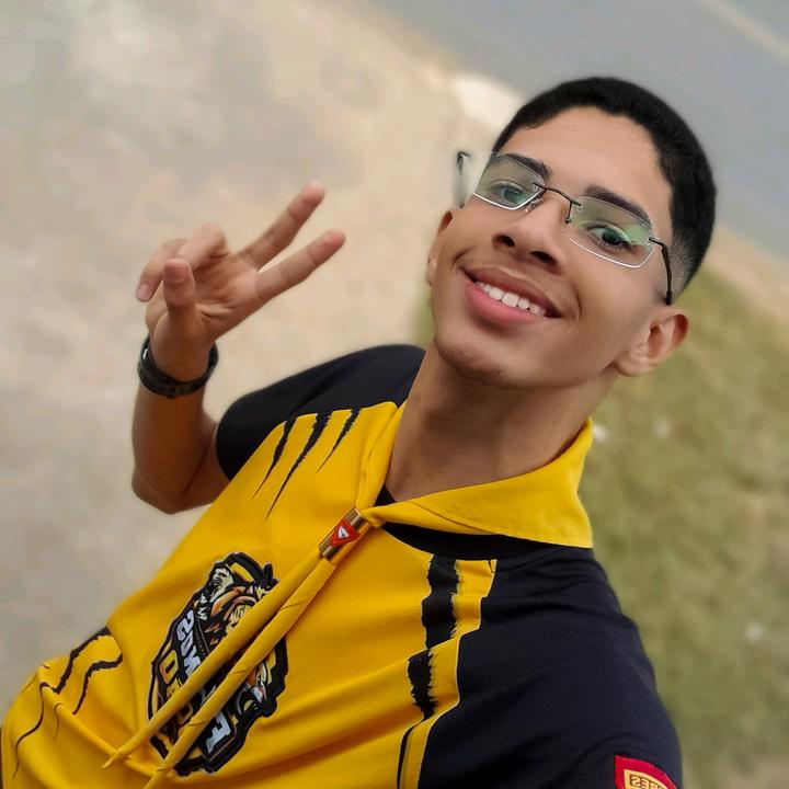 Profile Picture of Luis andre (@luis.andre.oficial) on Tiktok