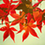 Profile Picture of Constance J. (@Constance J.) on Flickr