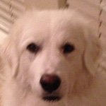 Profile Picture of Eric Wimbush (@ejbushy) on Instagram