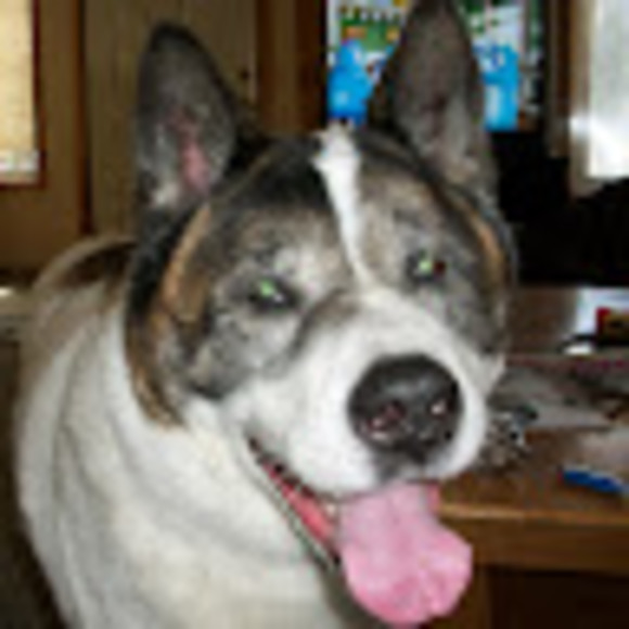 Profile Picture of Neil Szalewski (@nszalewski) on Poshmark