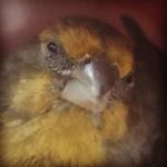 Profile Picture of Andrew Landeros (@andrew_landeros_lol) on Instagram