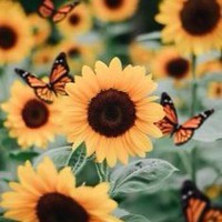 Profile Picture of Katelyn Wendt (@katelyn-wendt-1) on Quora