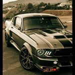 Profile Picture of Justin maples (@millsmarilyn977) on Instagram