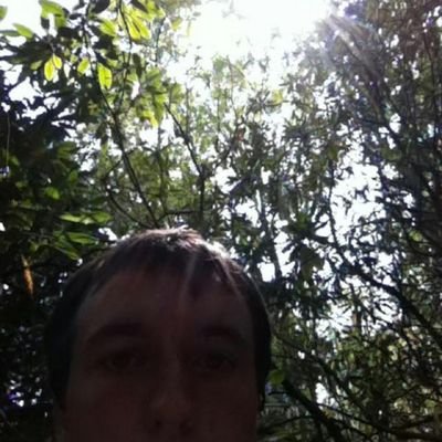 Profile Picture of William Reames (@hflsaint) on Twitter
