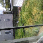 Profile Picture of Shirley Bailey (@shirleybailey8749) on Youtube