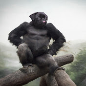 Profile Picture of Matthew Staggart (@gdfstaggart) on Youtube