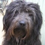 I.r.i.s - Instagram Profile Picture of I.r.i.s (@irisuhl) on Instagram