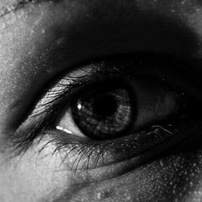 Profile Picture of Mark Gurevich (@gurevich_mark) on Twitter