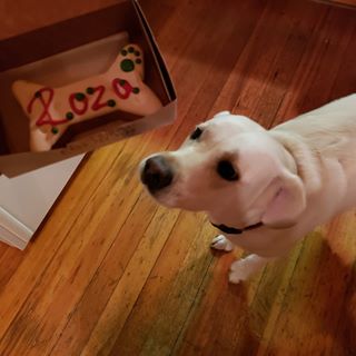 Profile Picture of Mary Kendzierski (Mary Doherty Kendzierski) (@mary.kendzierski) on Facebook