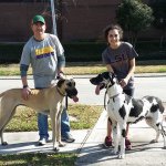 Profile Picture of Steven Seiler (@sseiler864) on Instagram