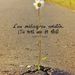 Profile Picture of James Fazio (@jjfazio2259) on Pinterest