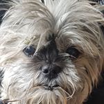 Profile Picture of Sylvia Visser (@sylvia.visser.1291) on Instagram