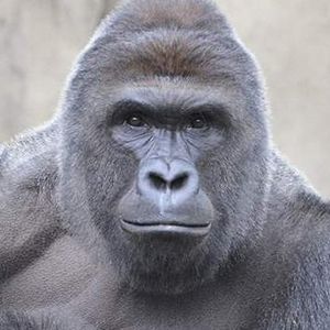 Profile Picture of Jake Roberts (@jakear02) on Myspace