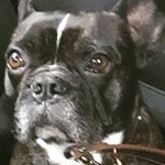 Profile Picture of coreywilliams (@coreywilliams4559) on Instagram