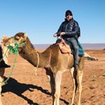Profile Picture of Mark Peck (@markjspeck) on Instagram