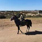 Profile Picture of Ricardo Jerez (@jerez9155) on Instagram