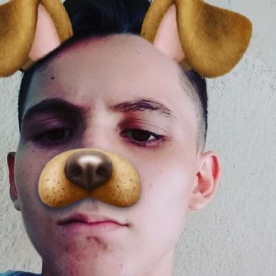 Profile Picture of Samuel Ruan Araujo (@SamuelArau1) on Twitter