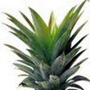 Profile Picture of Timothy Potts (@cloverfield05) on Youtube