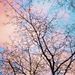Profile Picture of Bryanna Borders (@bryannaborders) on Pinterest