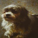 Profile Picture of Christopher Navarro (@christopher_the_boring) on Instagram