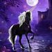 Profile Picture of Dawn Ratliff (@tdratliff2016) on Pinterest