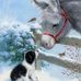 Profile Picture of Paula Waddle (@paula.waddle.79) on Facebook