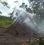 Profile Picture of Daniel Gualinga (@Daniel-Gualinga) on Facebook