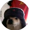 Profile Picture of chris fitch (@@poppywindow) on Tiktok