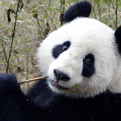 Isabelle Mendez - Twitter Profile Picture of Isabelle Mendez (@IsabelleMendez1) on Twitter